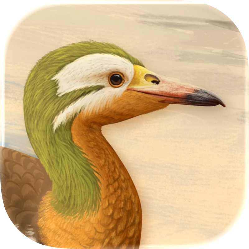 Art of Fauna: Rompecabezas screenshot 1