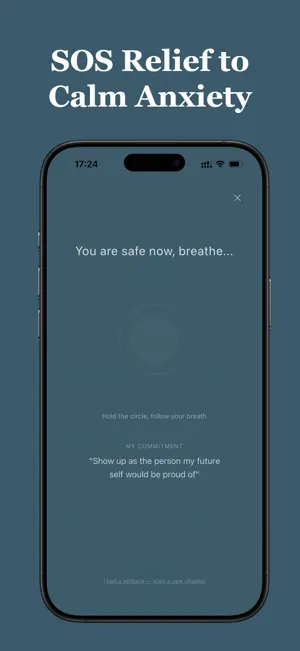 Reclaim: Quit Habits & Track screenshot 4