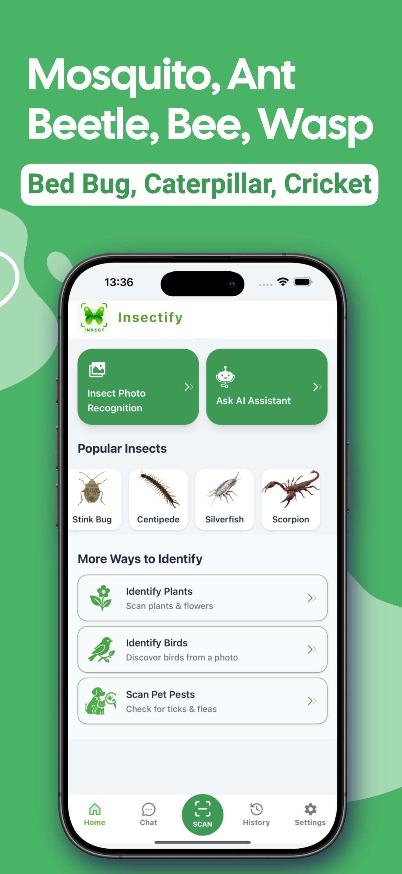 Screenshot 8 of Insect Identifier uk-Butterfly