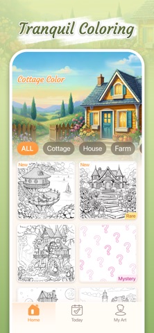 Cottage Color screenshot 7