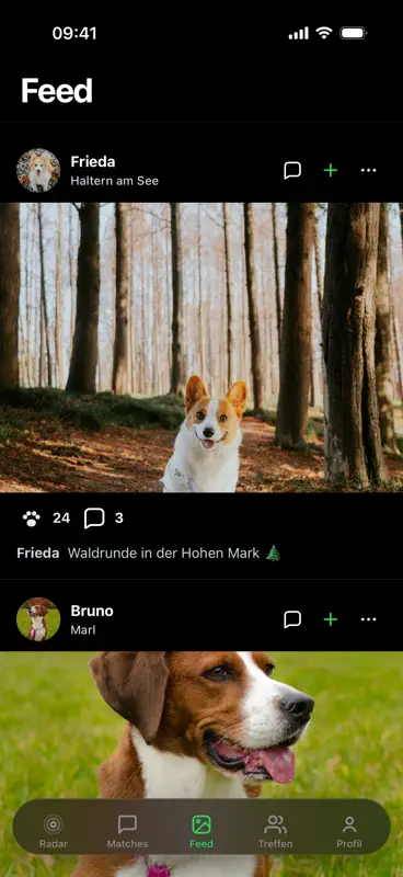 Pfotentreff: Gassi & mehr screenshot 7 of 10