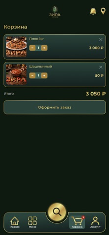 Зира screenshot