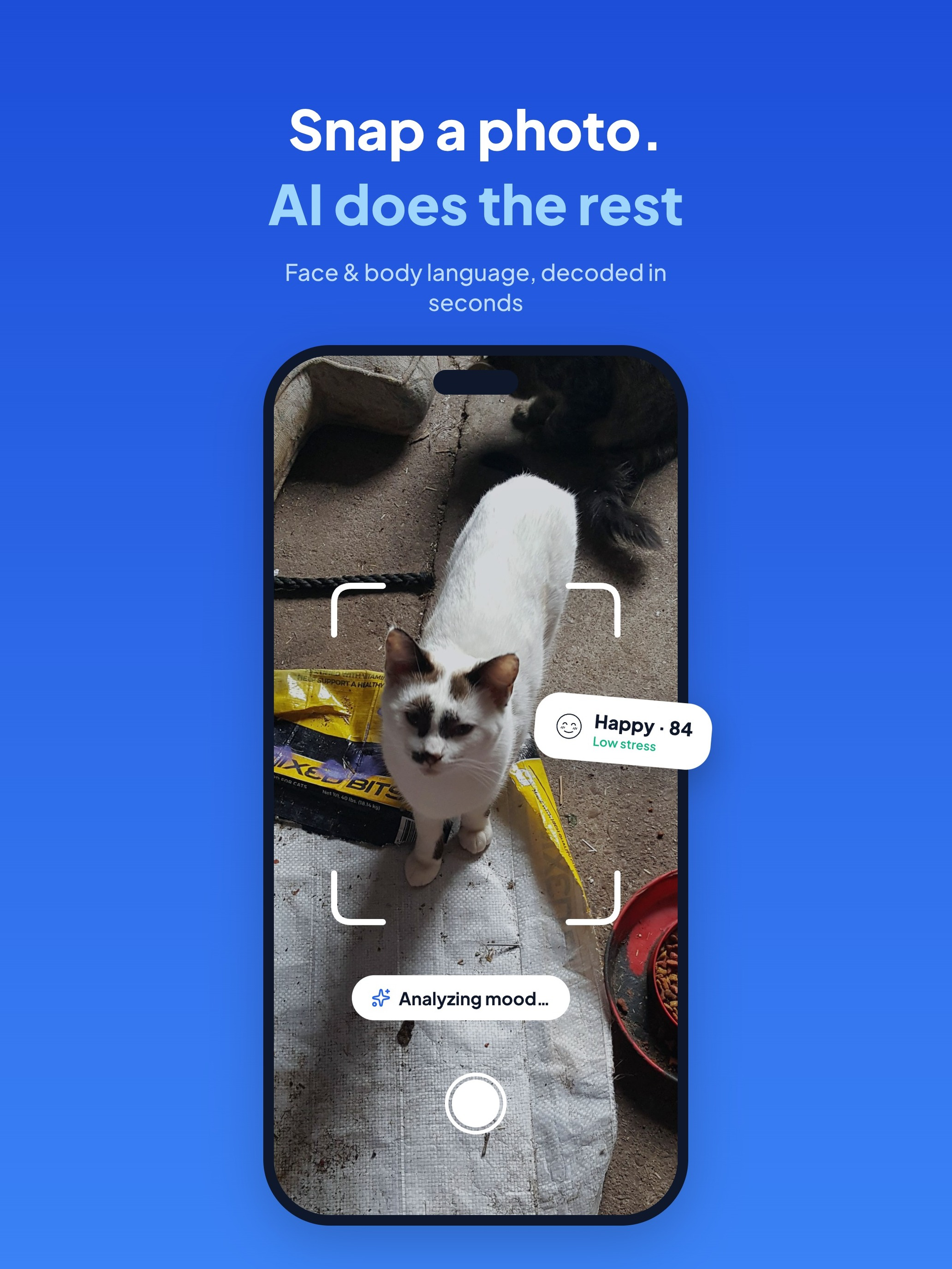 Dog & Cat Translator: AI Scan screenshot 8