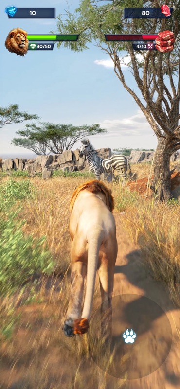 Lion Survival - Wild Beast Sim screenshot 2