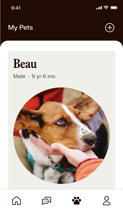 Kinship: For People with Pets Screenshot