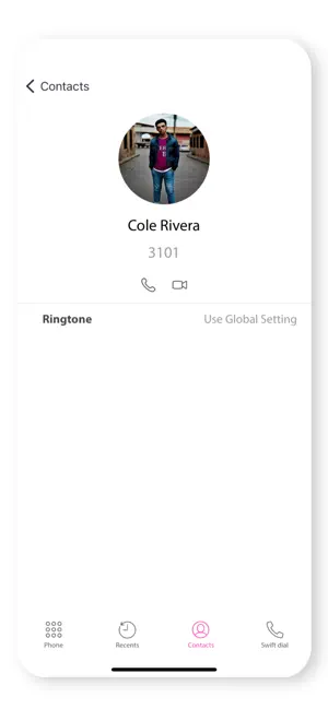 Wave Softphone screenshot 3