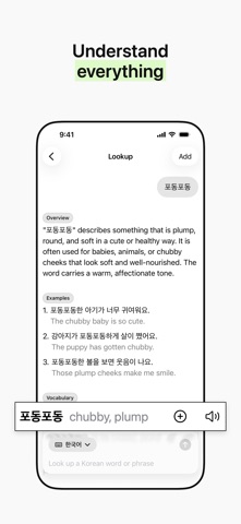 Meanings: Study Vocabulary screenshot