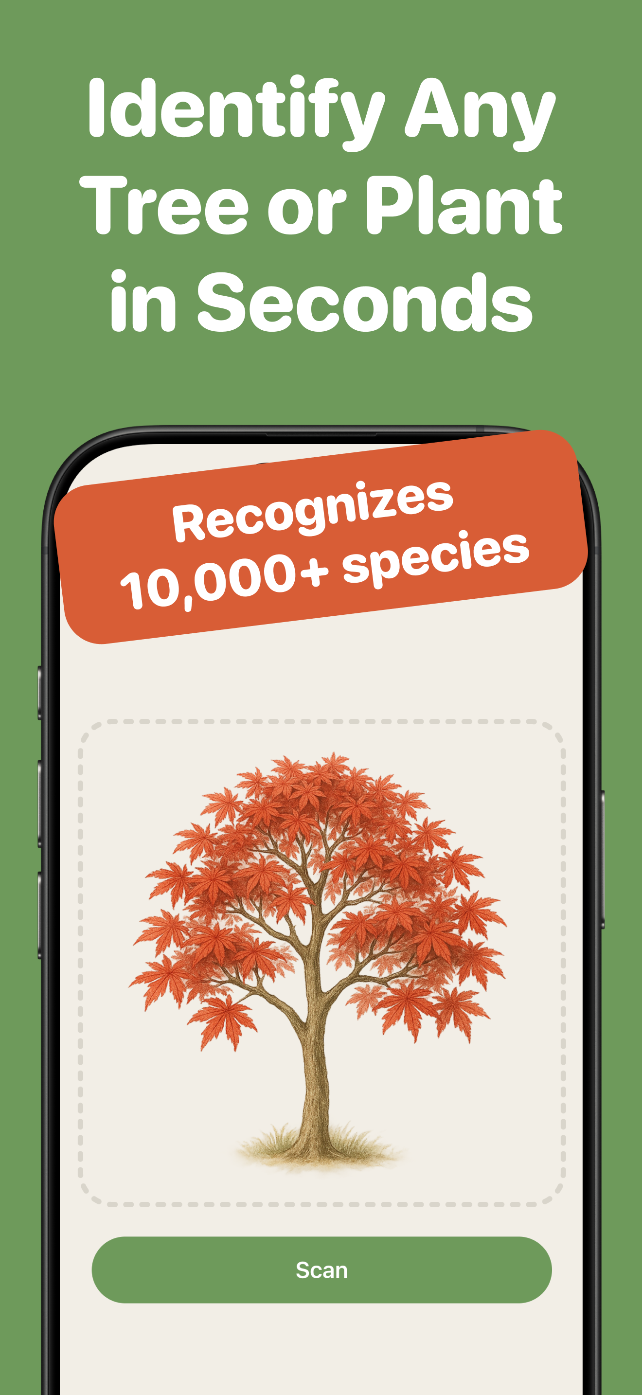 Tree Identifier by TreePic