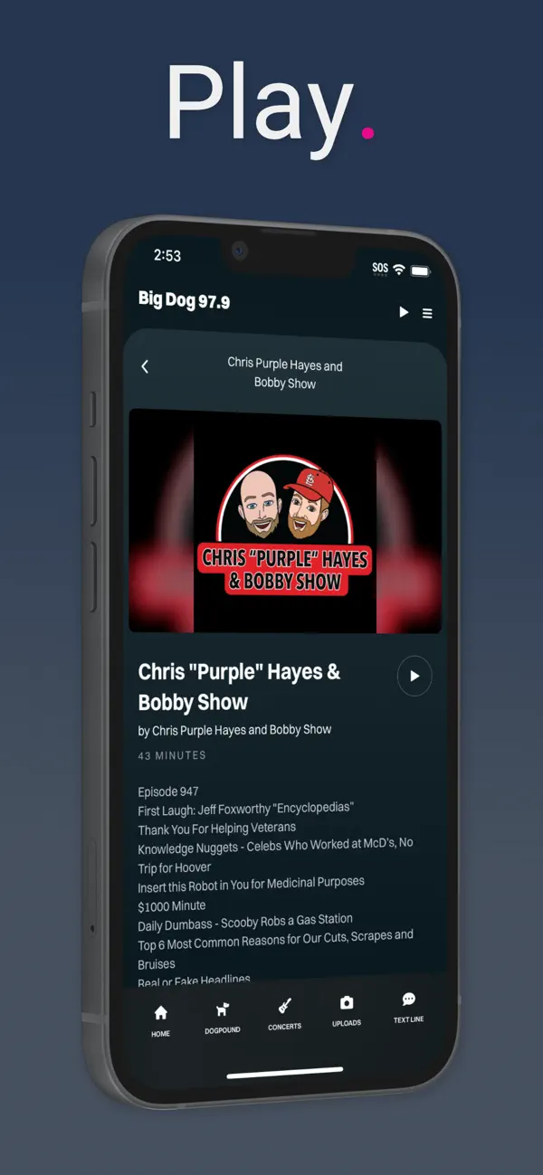 Screenshot #2 pour Big Dog 97.9