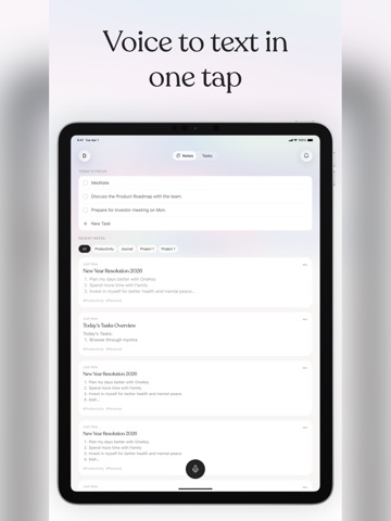 AI Voice Notes - OneKey iPad screenshot