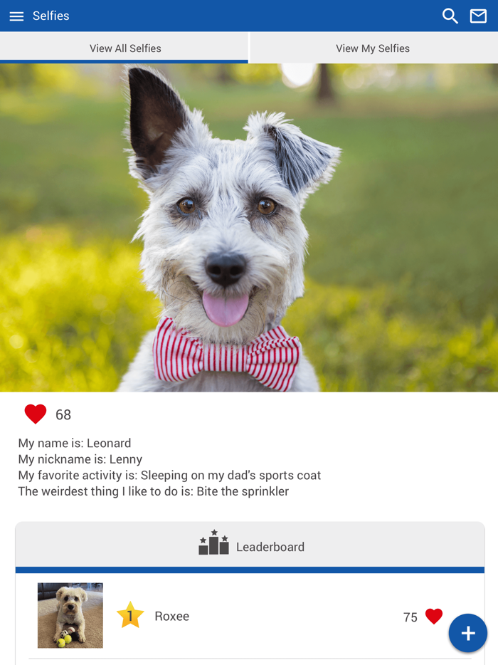 Oak Knoll Animal Hosp