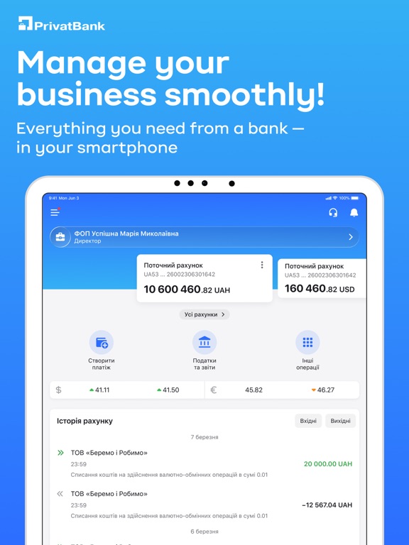 Privat24 for business iPad screenshot 1 - Business app