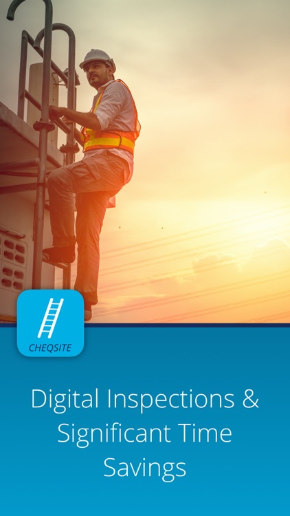 Ladder Safety Inspection