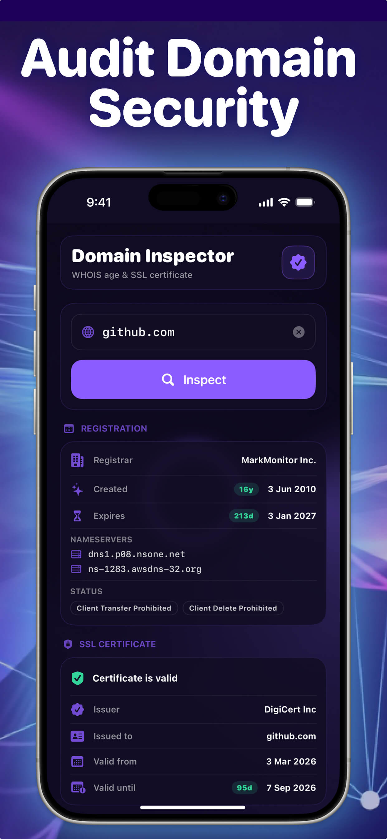 DNS Beacon screenshot 2