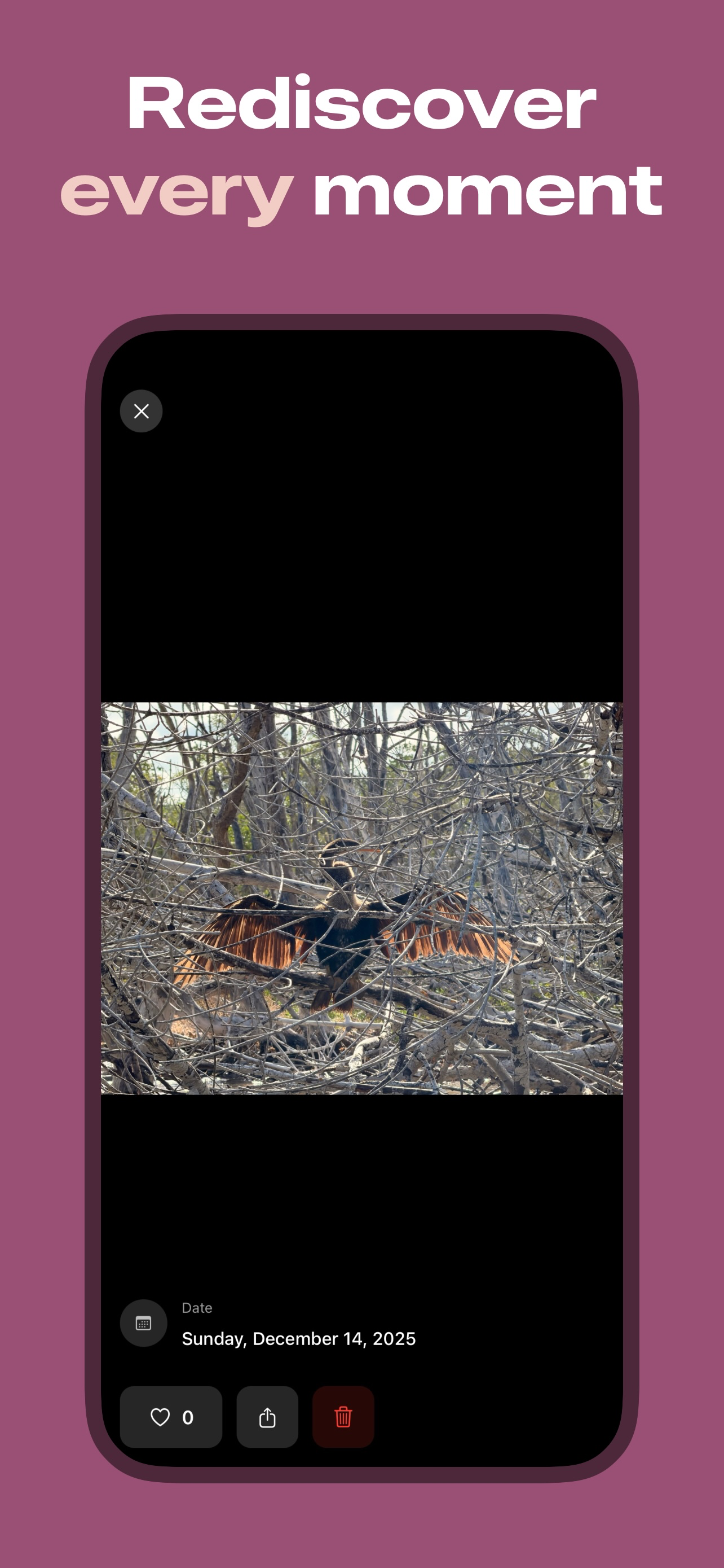 Lume Photos screenshot 2
