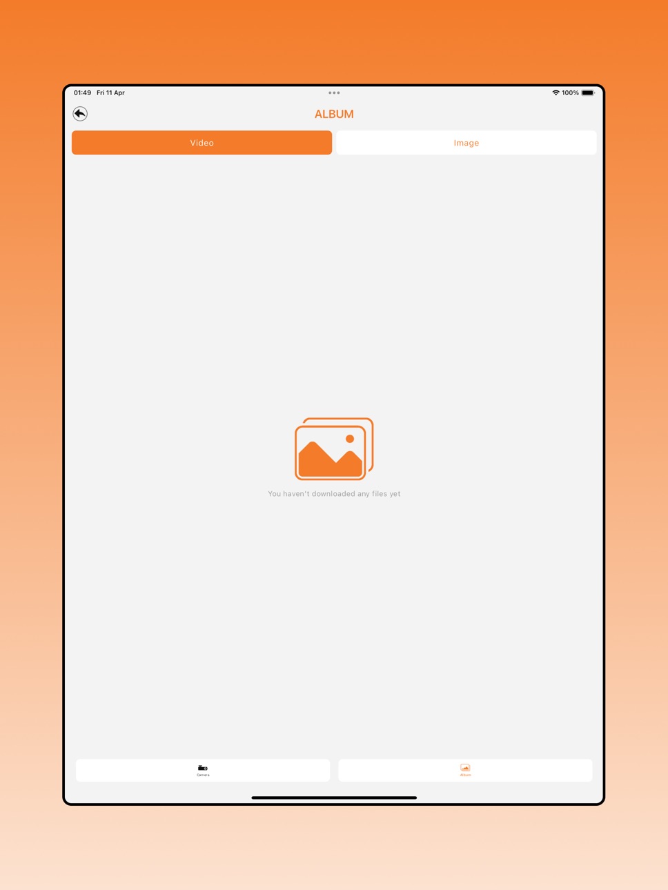 iPad screenshot