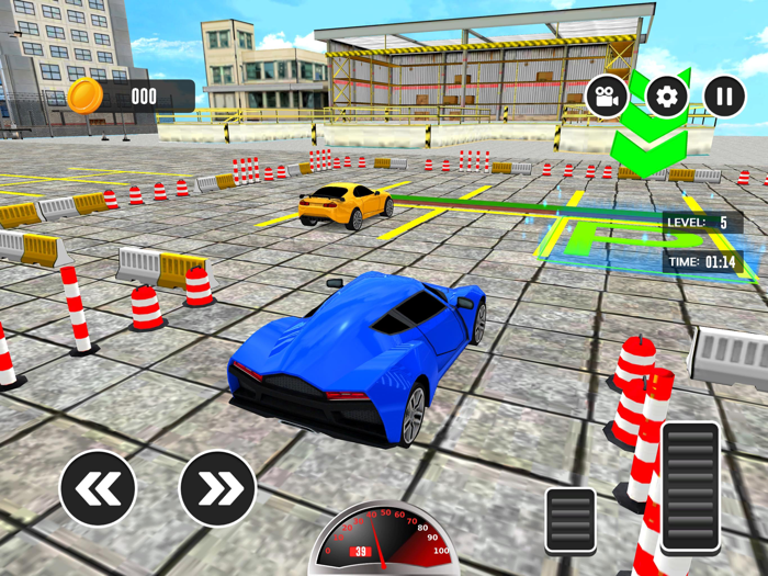 Car Transport Truck Driving