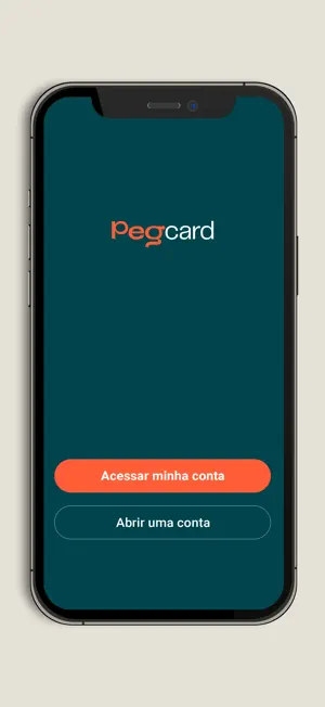 PegCard screenshot 4