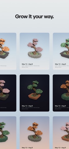 Bonsai³ iPhone screenshot 2
