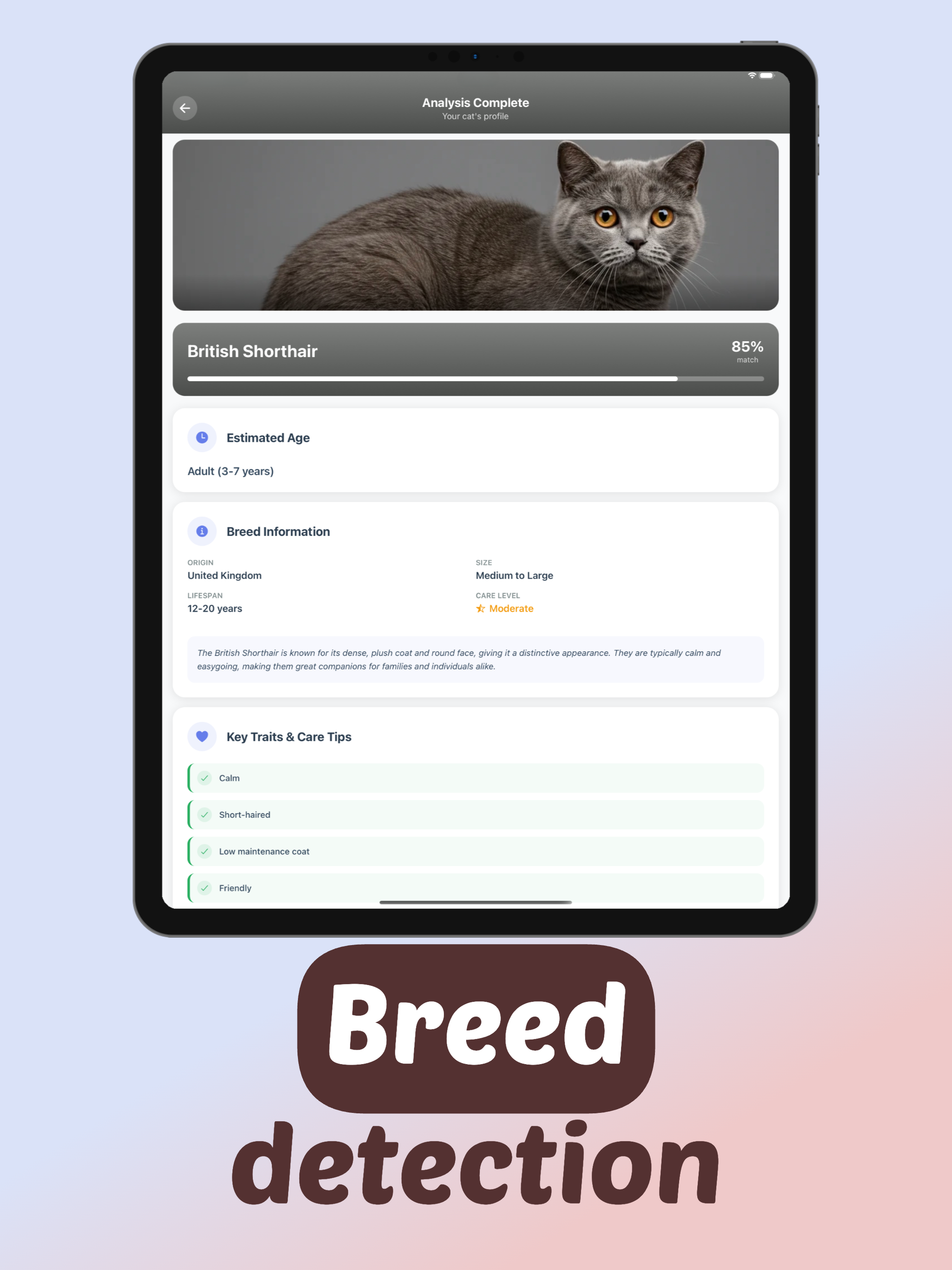 MeowLens: Cat Breed Identifier screenshot 5