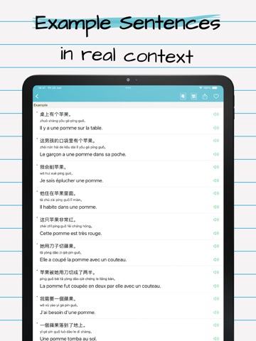 Chinese French Dictionary 法中词典 iPad screenshot