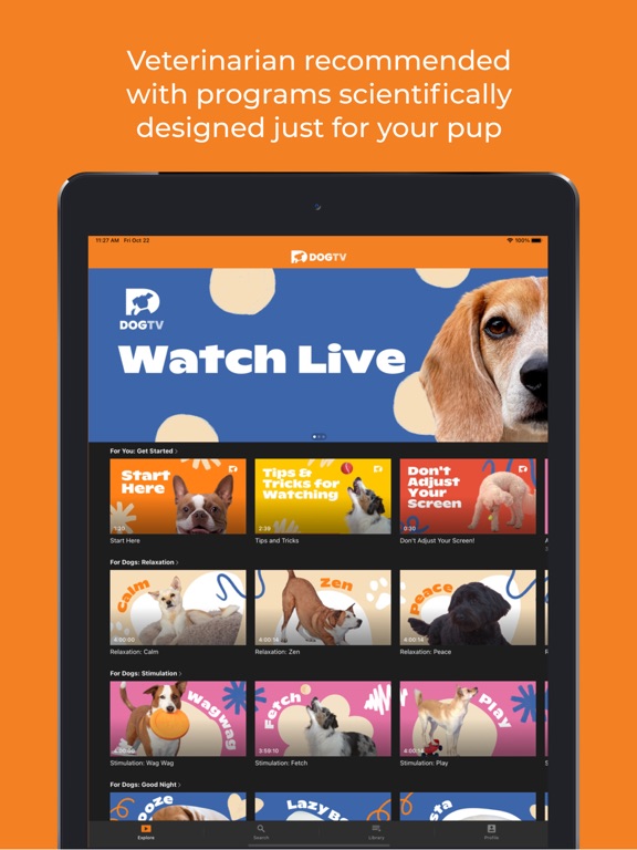Screenshot #5 pour DOGTV