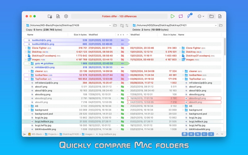 Screenshot #1 pour DirEqual