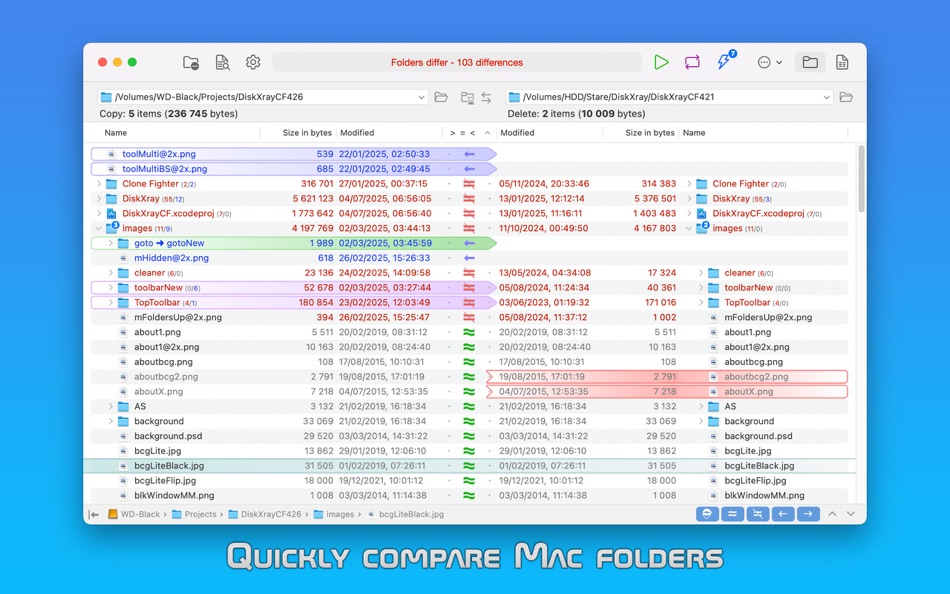 #1. DirEqual (macOS) 由: Grzegorz Staszczyk