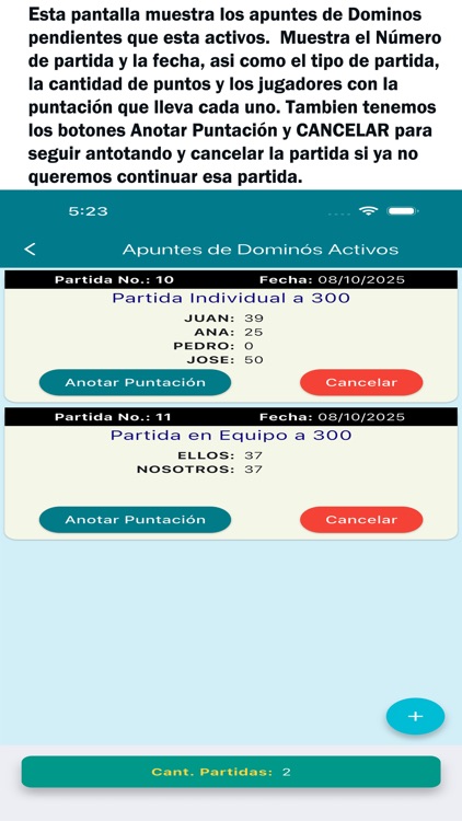 Dominoscore FSPro screenshot-7