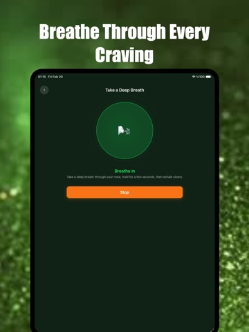 SmokeFree Hero: Quit Smoking iPad screenshot