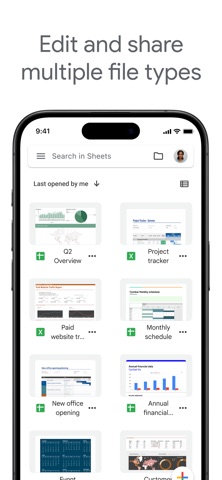 Google Sheets App Store preview screenshot 3