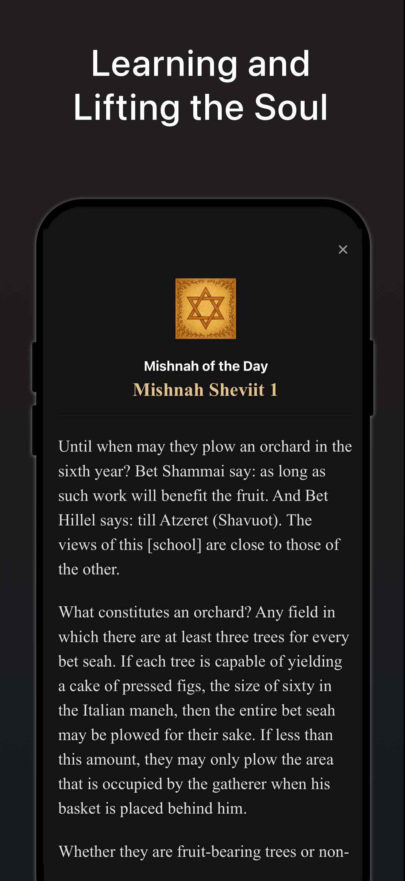 Judaism Daily: Torah & Siddur