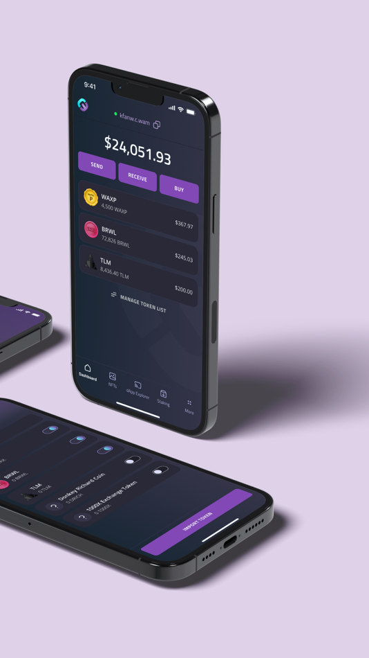 #2. My Cloud Wallet (iOS) 由: Fendlay Brook Holdings