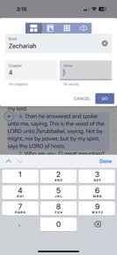 Sabbath Bible Lessons screenshot