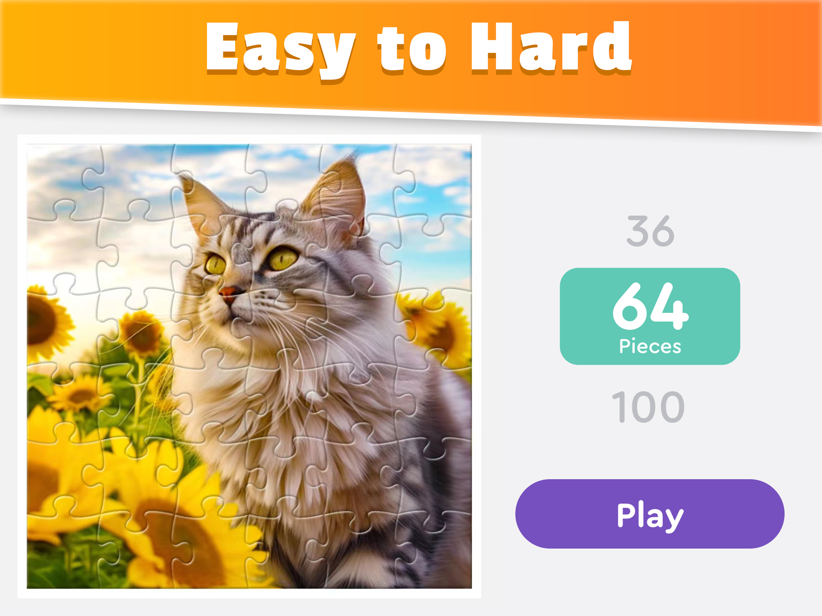 Jigsaw Puzzles - Daily Jigsaw