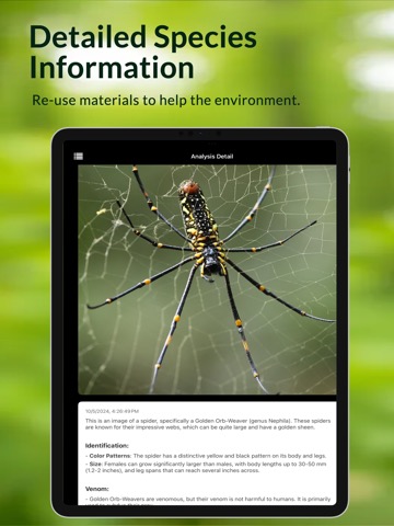 Spider ID - insects identifierのおすすめ画像2