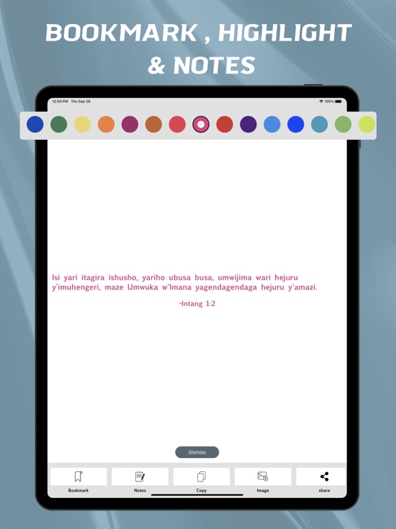 Screenshot #6 pour Kinyarwanda Bible - offline