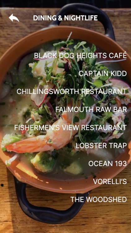 Visit The Cape