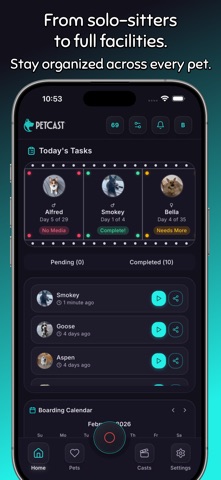 Pet Spoken Video Reels—PetCast screenshot