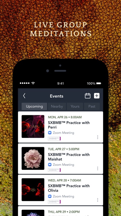 Perri Chase screenshot-4