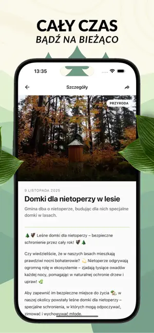 A Walk through Iwonicz screenshot 1