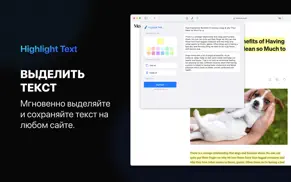 highlight text for safari айфон картинки 1