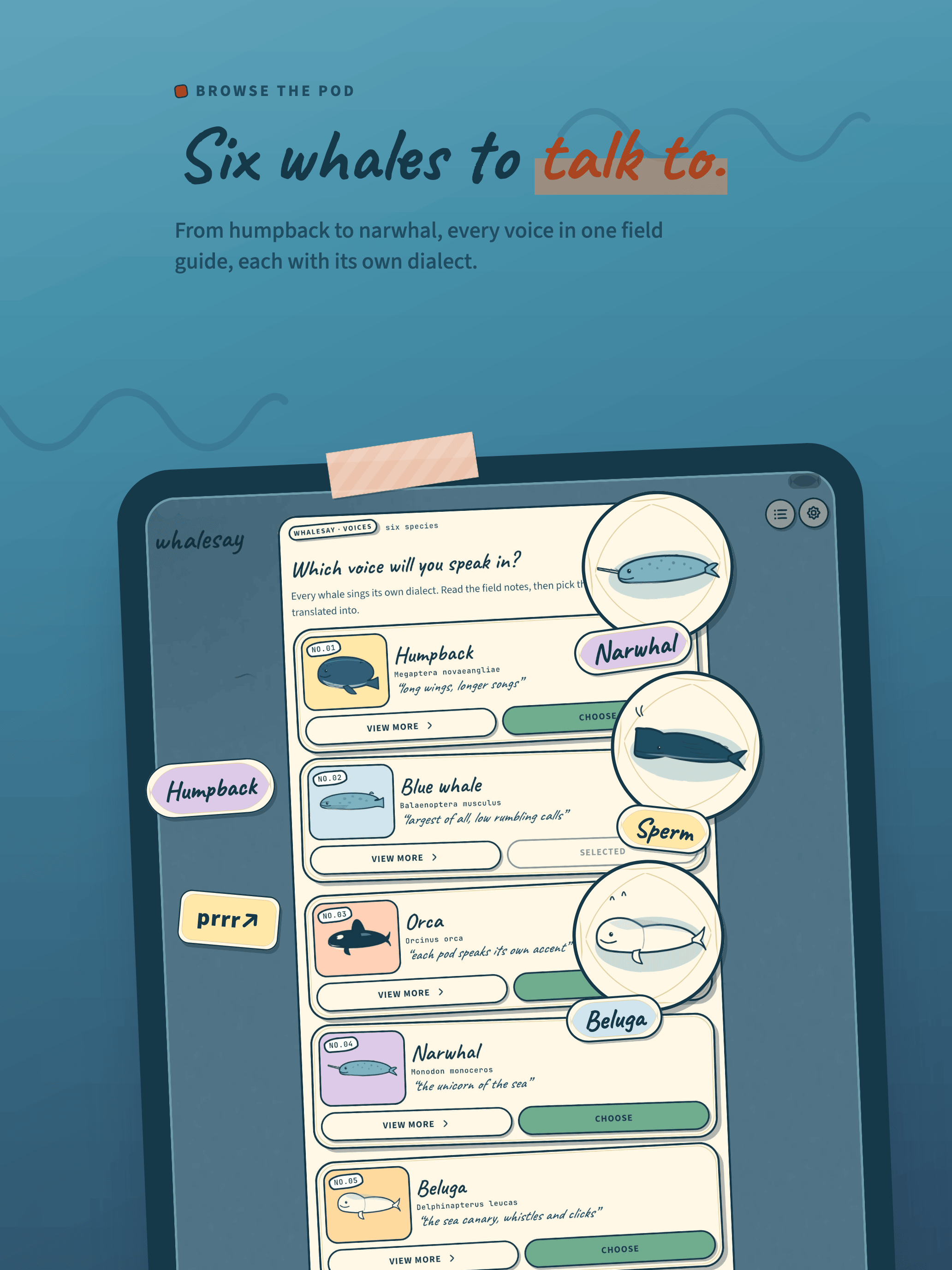 WhaleSay: Whale Translator screenshot 8