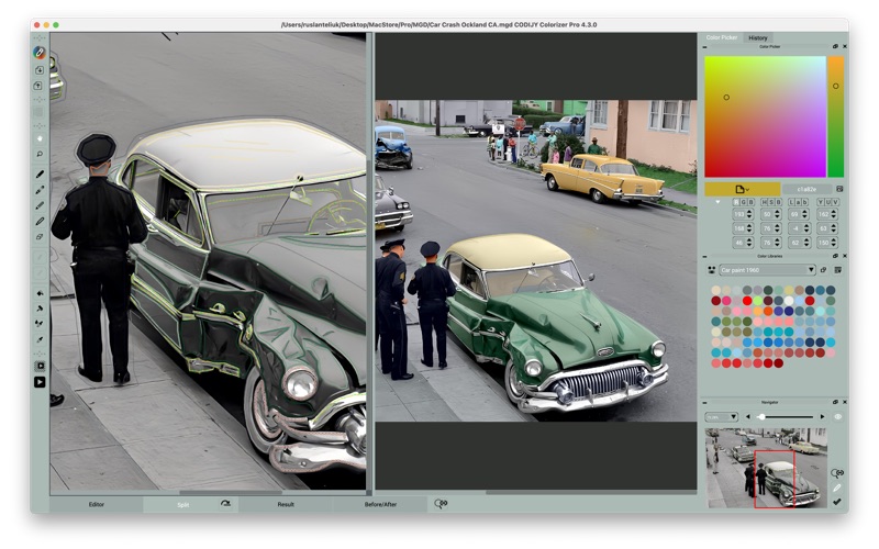 Screenshot #3 pour CODIJY Colorizer Pro
