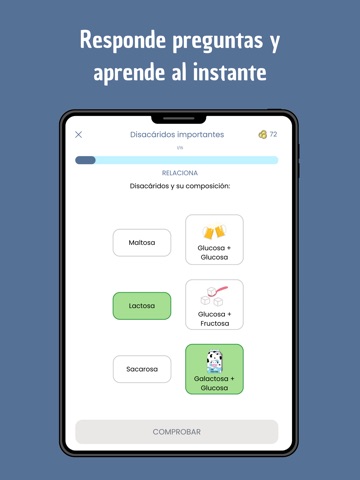 Kivi School - Aprende Jugando iPad screenshot