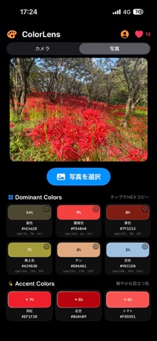 ColorLens screenshot