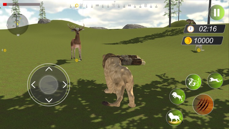 Real Lion Simulator Lion Games