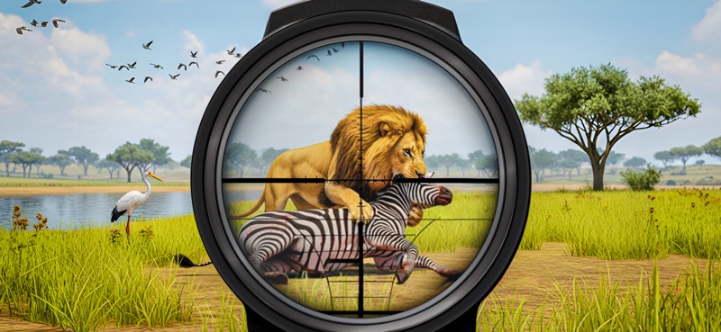 Missões de Caça de Animais screenshot 2