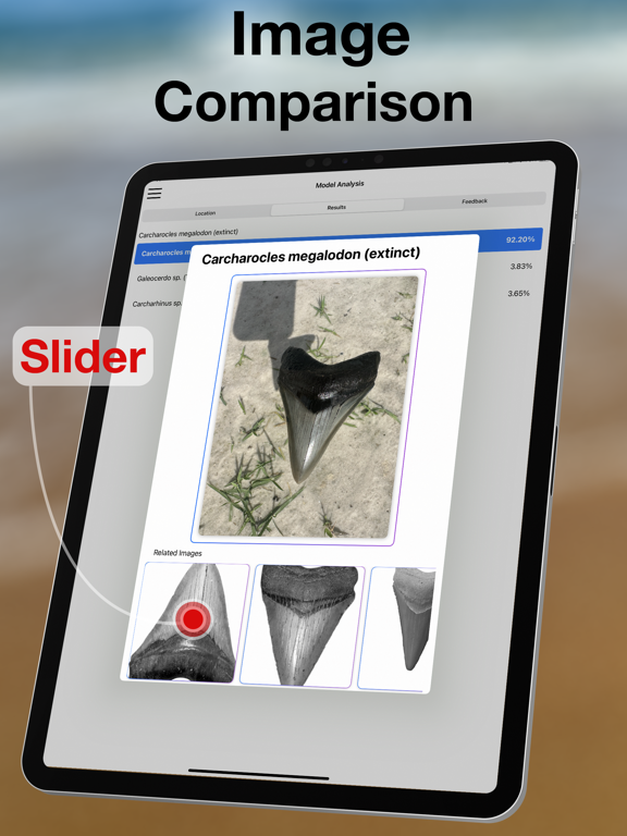 BeachBop® iPad screenshot 4 - Education app