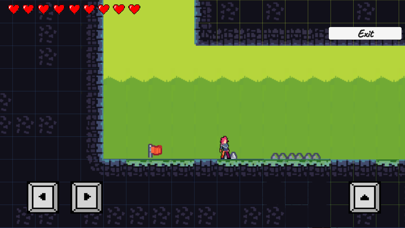 Vin Run Screenshot